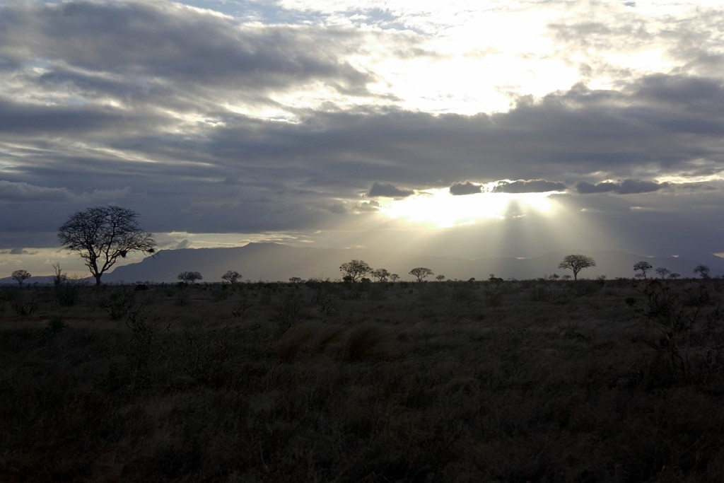 Kenia (307).jpg